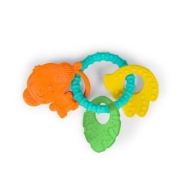 Bright Starts - Teething Ring With Charms -  WB-13078 - Toysuae.com