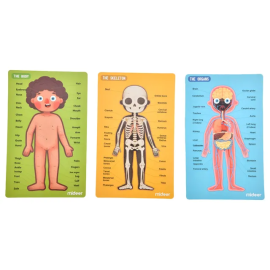 Mideer - Body Magnetic Puzzle - 90 pcs