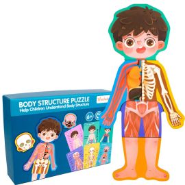 Factory Price - Treehole Body Structure Puzzle Toy Set - Boy -  FP-1908-46A - Toysuae.com