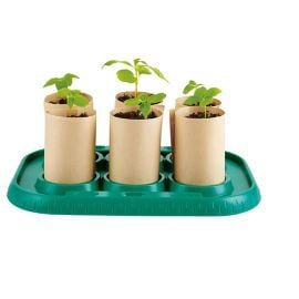 Hape - Growing Gardeners Greenhouse -  E5580 - Toysuae.com