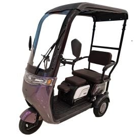 Gambol - Urban roof 48V Electric Tricycle - Assorted