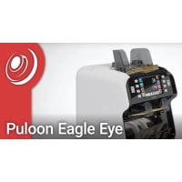 Puloon Eagle